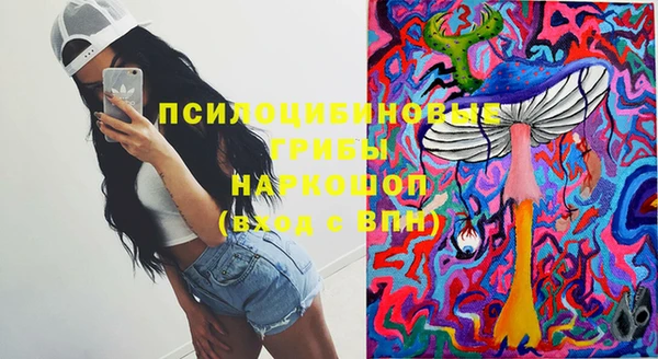 прущие крисы Балахна