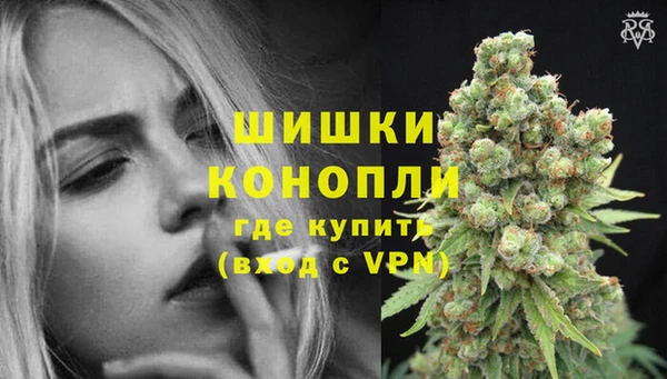 гидра Струнино