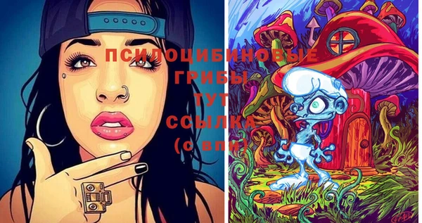 прущие крисы Балахна