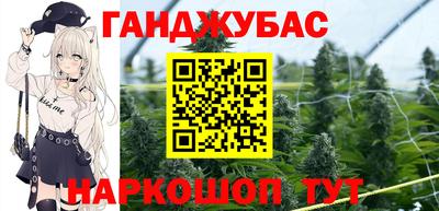 гашик Бийск
