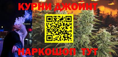 гашик Бийск