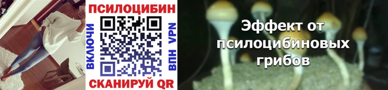 Псилоцибиновые грибы GOLDEN TEACHER Бор