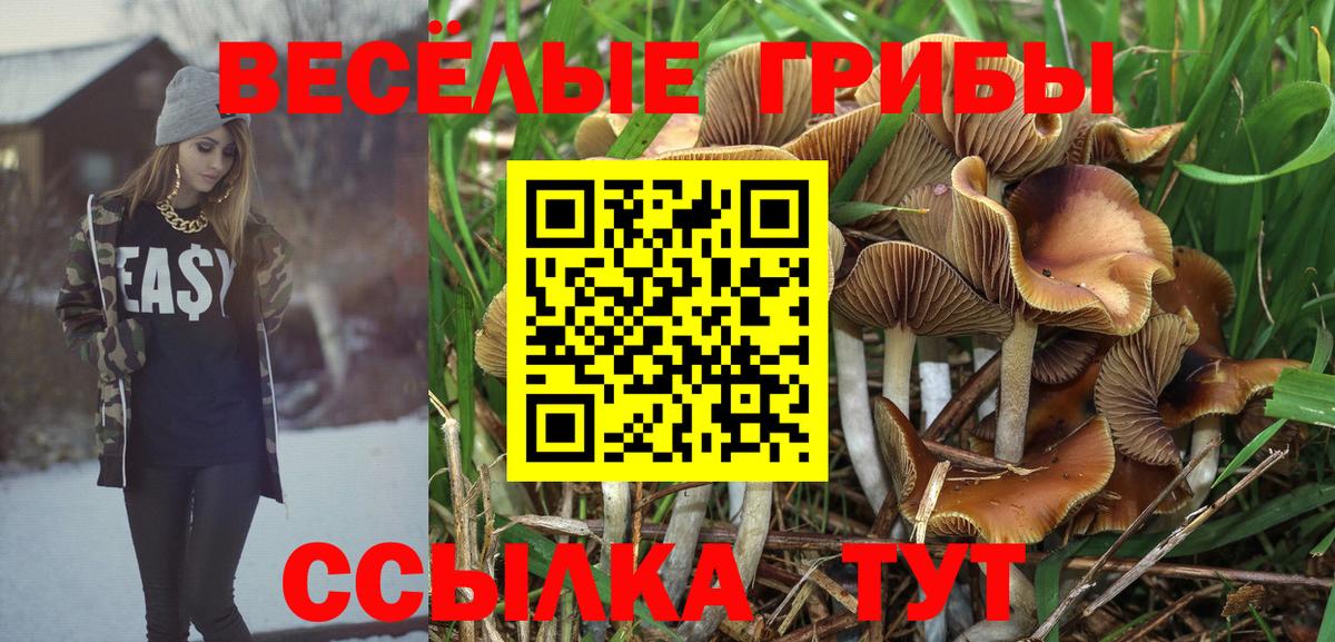 Псилоцибиновые грибы ЛСД  Вход с VPN  Псилоцибиновые грибы мухоморы  Бор 
